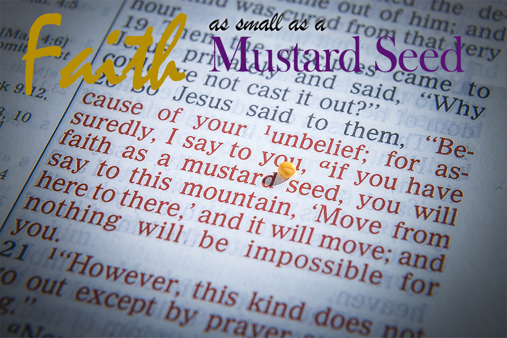 Mustard seeds on a open Bible page illustrating a verse